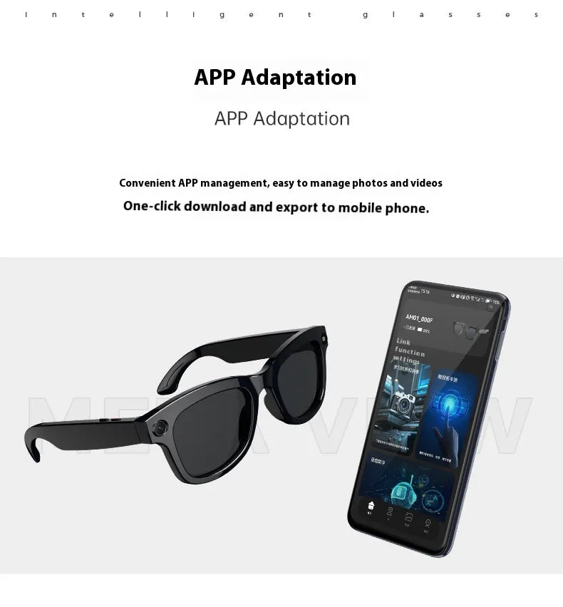 Meta Glasses